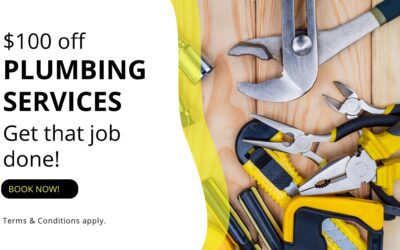 $100 Off Plumbing Services Offer