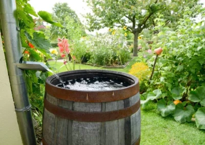 barrel for collection of rainwater